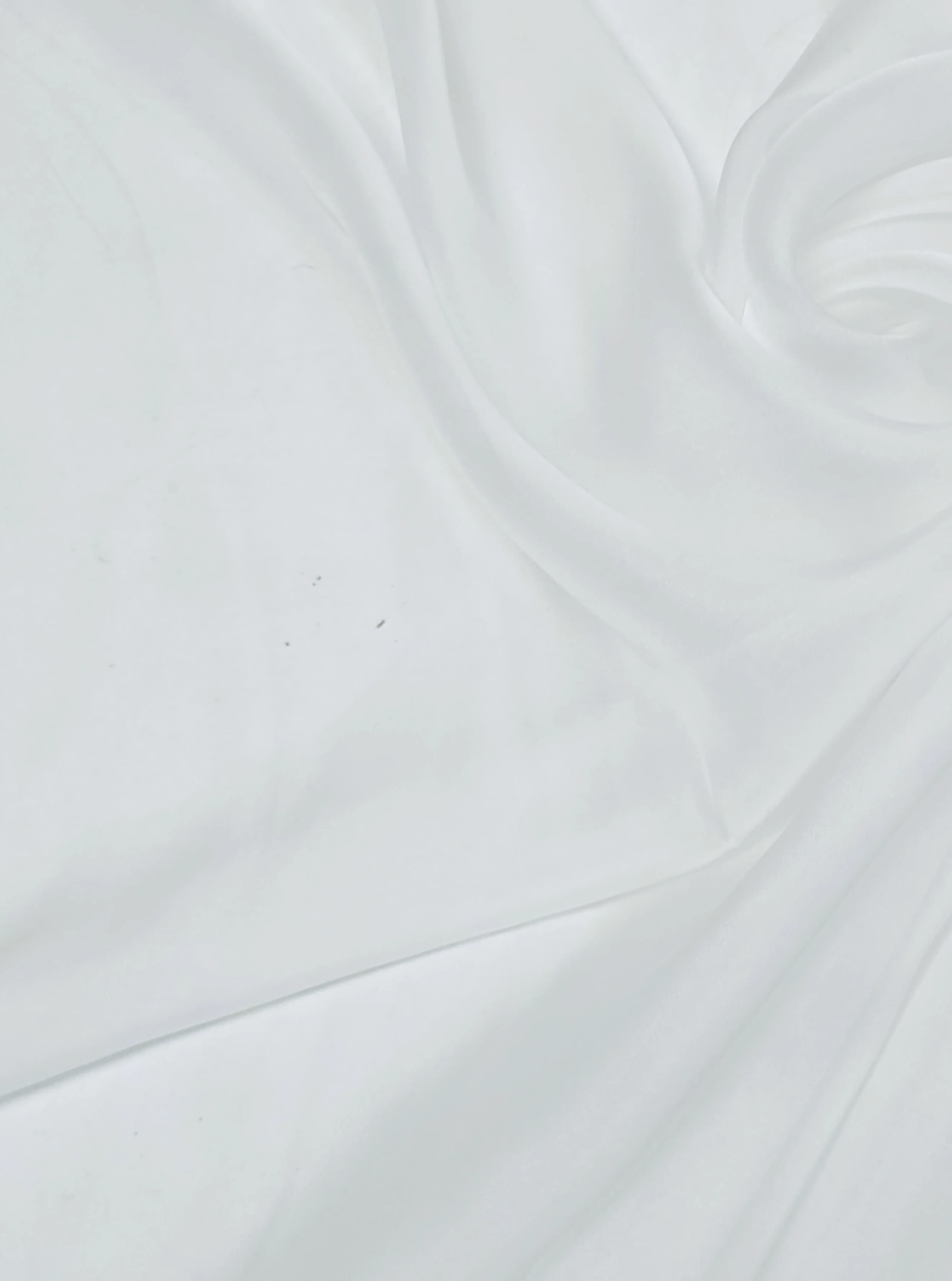 Matase naturala voal off white